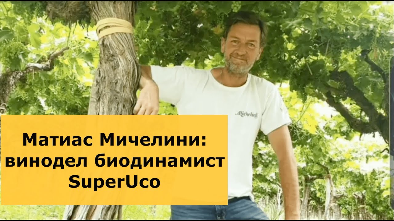 Матиас Мичелини винодел/ биодинамическое вино / биодинамика / винодельня / Gastroband | WineOnline