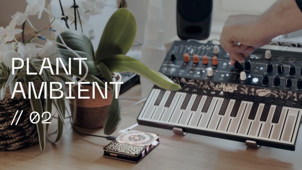 20-min Generative Ambient for Relaxation | Plant Based Soundscape (MicroFreak, Pocket Scion)