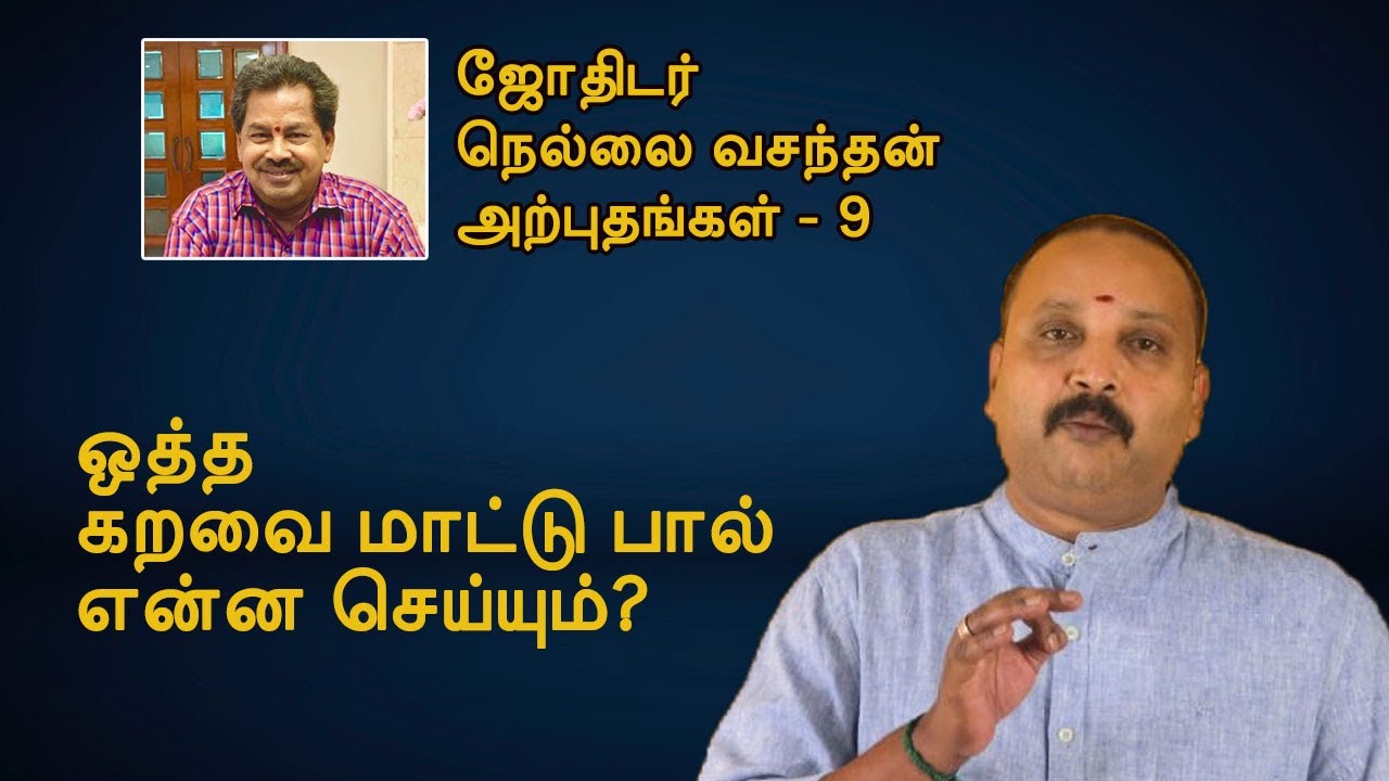 ஒத்த கறவை மாட்டு பால் என்ன செய்யும்? |  ஜோதிடர் நெல்லை வசந்தன் அற்புதங்கள் 9 | Madras Mix