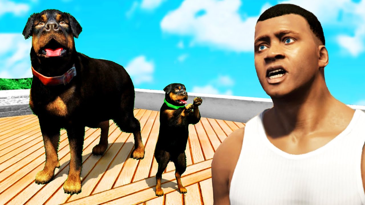 GTA 5 als BABY CHOP spielen!!