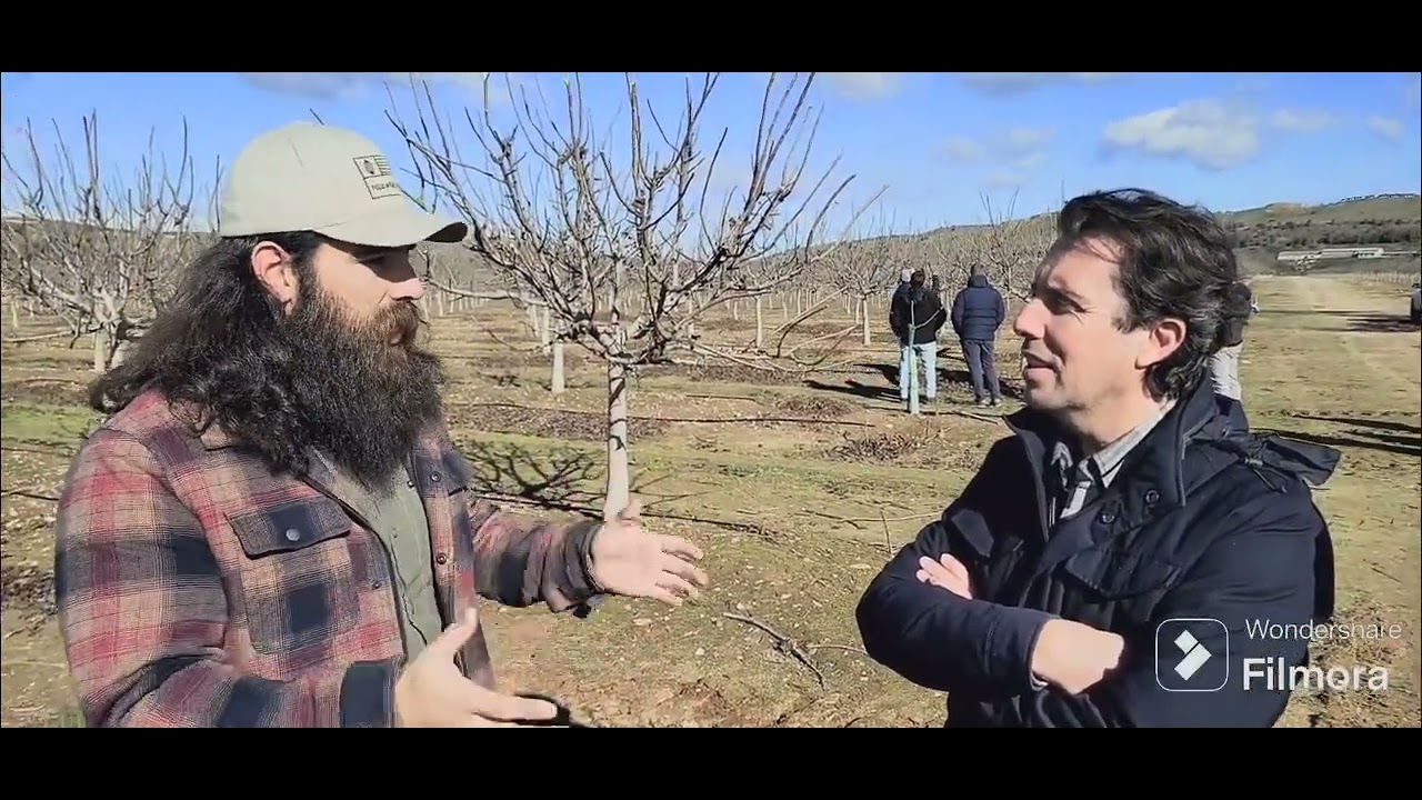 Poda Aragonesa parte 3. Finca intensiva  regadío en Carpio de Tajo.
