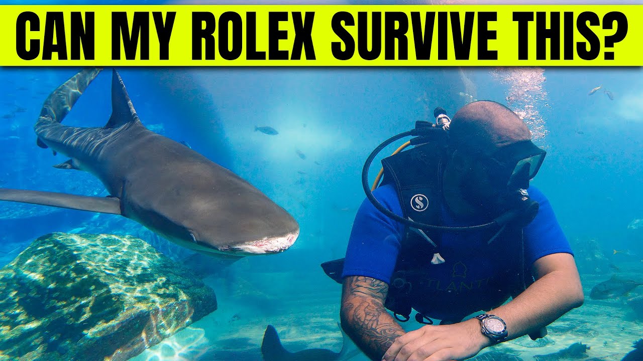 ПОДВОДНОЕ ПЛАВАНИЕ В ЧАСАХ ROLEX