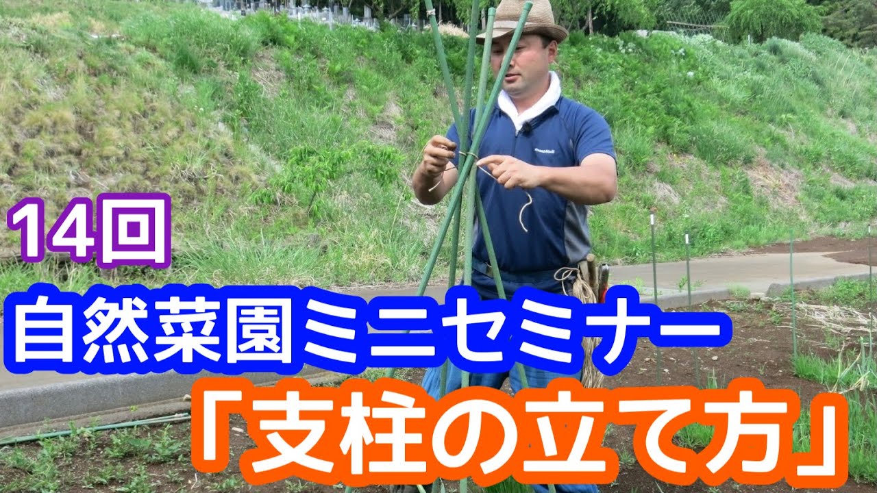 【自然菜園ミニセミナー第14回】「支柱の立て方」　意外と難しい支柱について！