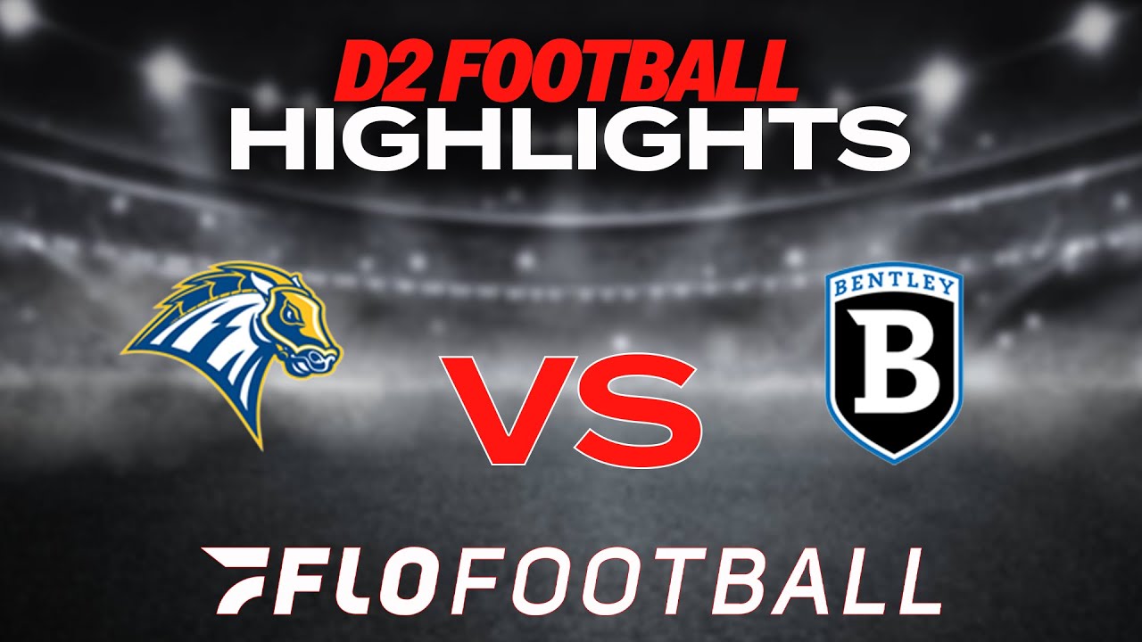 Highlights: New Haven vs Bentley | NE10 Football 2024
