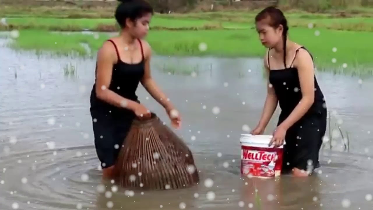 amazing net fishing cambodia - amazing net fishing cambodia - net fishing cambodia