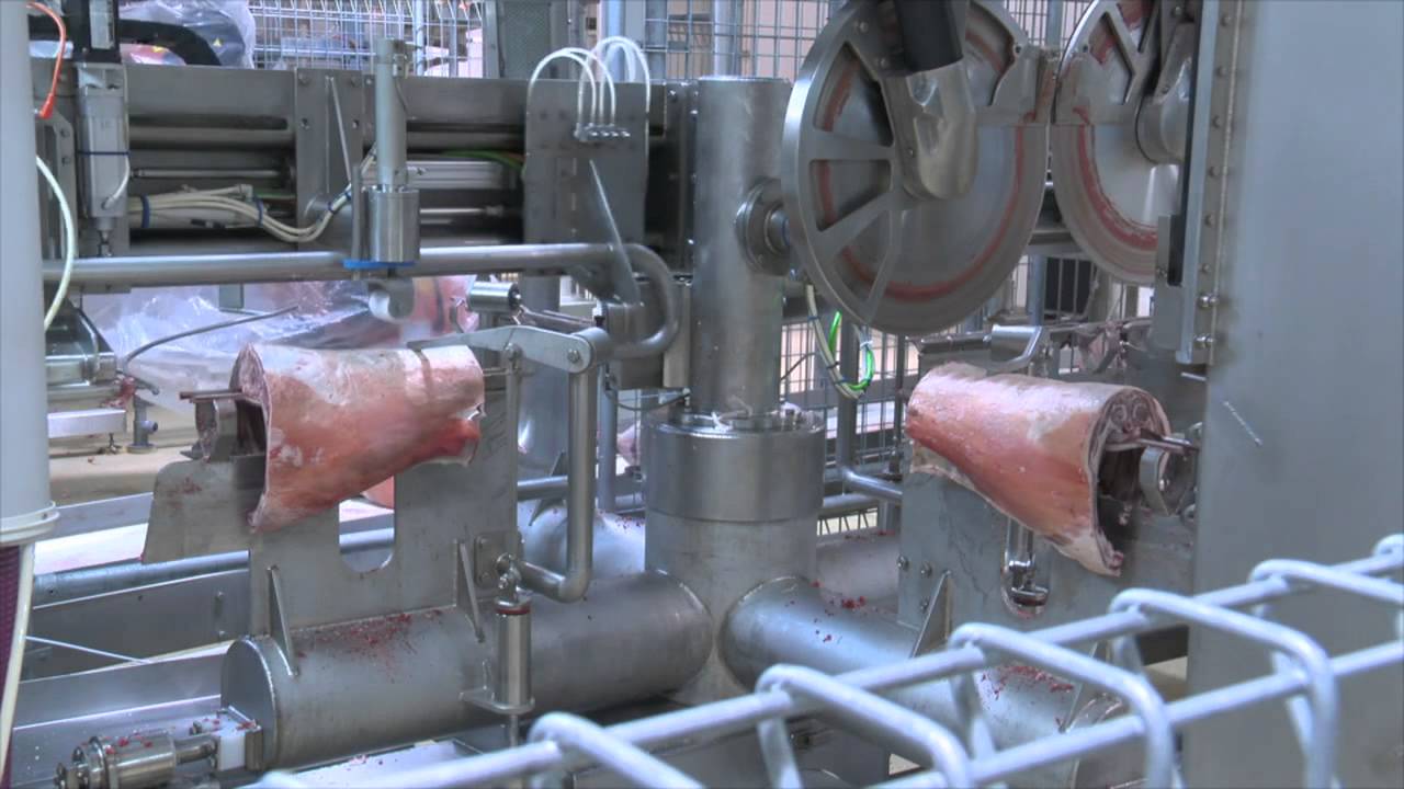 Scott - Automated Lamb Boning System 2013