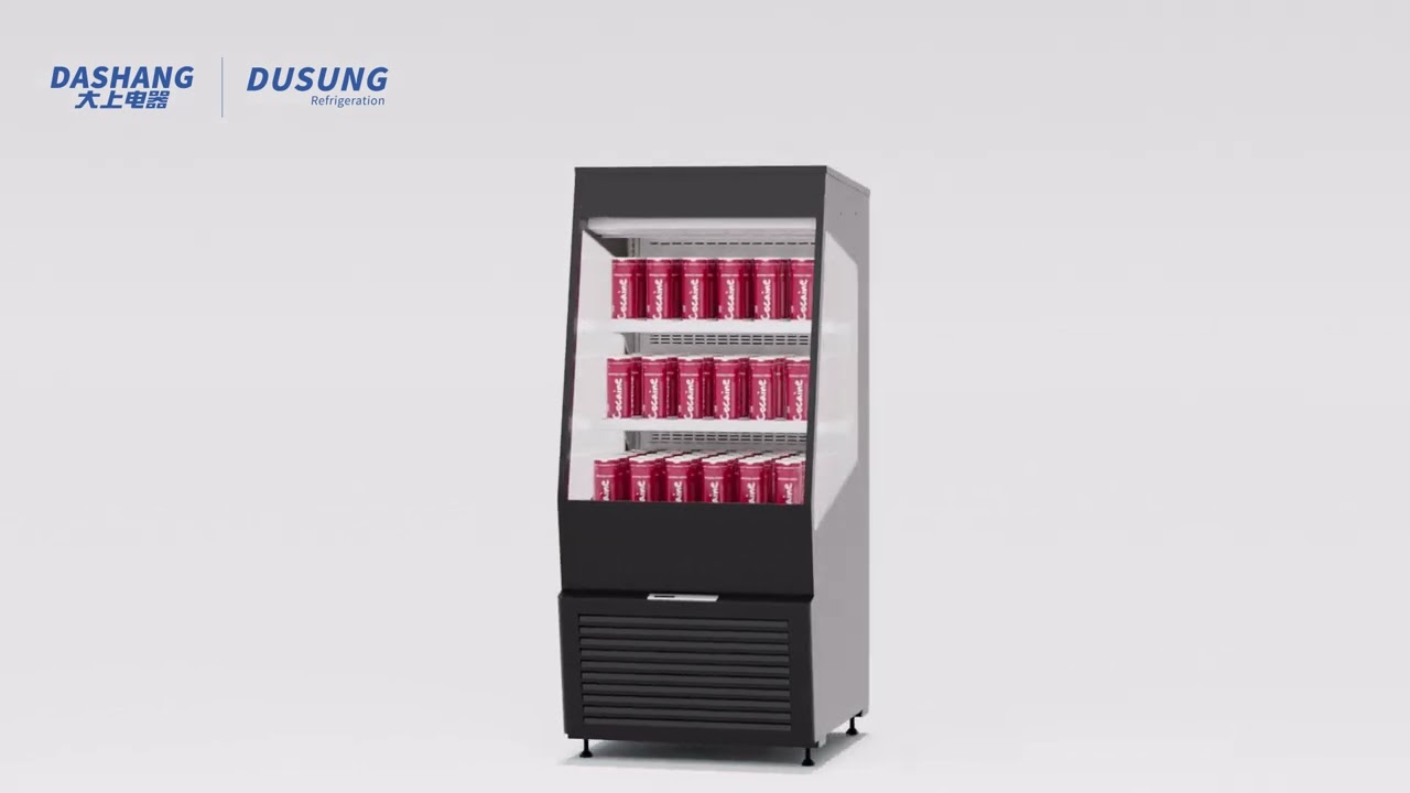 Dashang/Dusung upright drinks display chiller