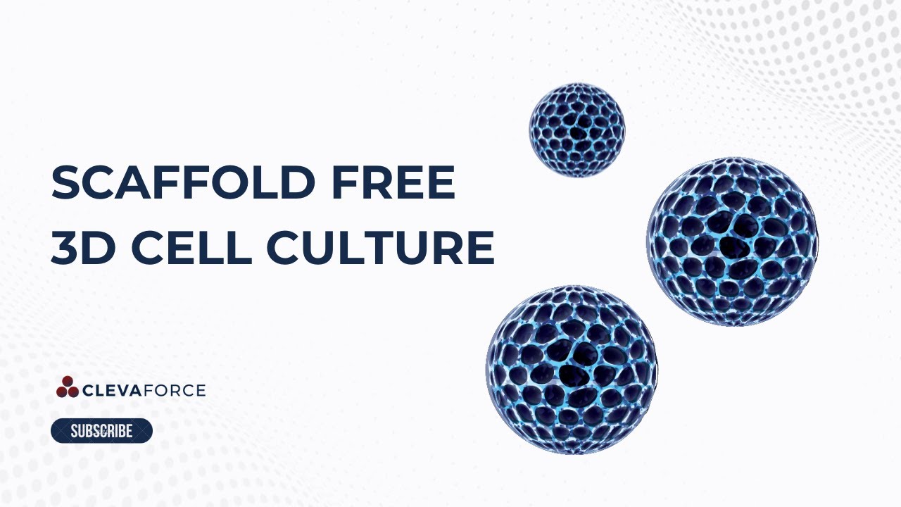 Types of 3D Cell Culture - Scaffold Free 3D Cell Culture