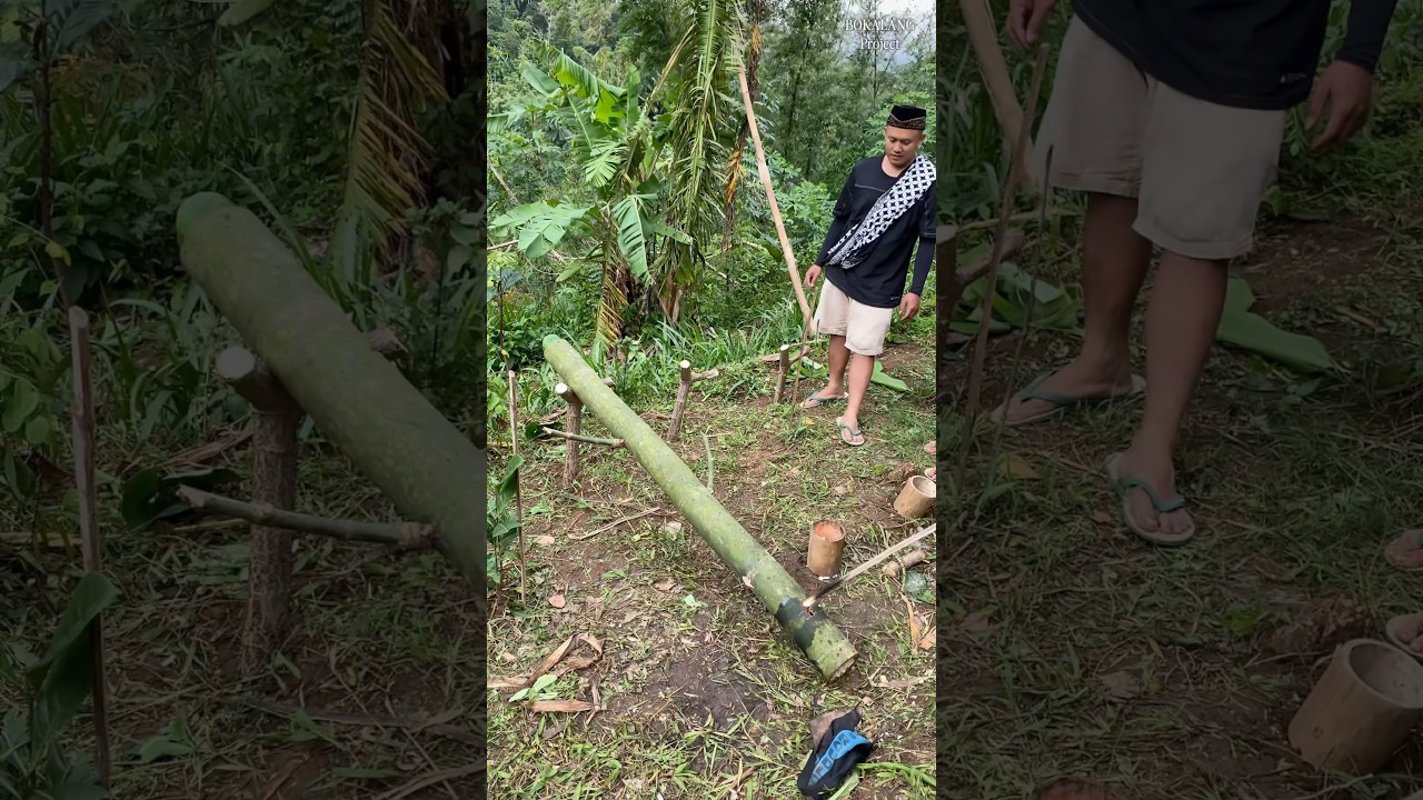 Cara Bikin MERIAM BAMBU Bolo.😁 #bolang #petualangan #ramadan