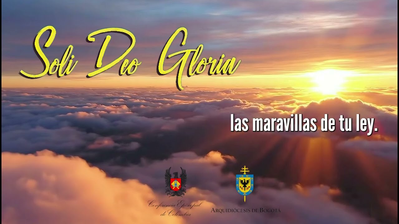 Salmo 118 - Domingo VI de Tiempo Ordinario