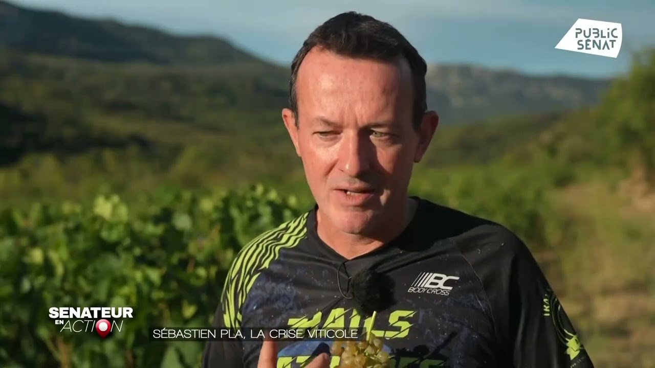 Sébastien Pla, la crise viticole