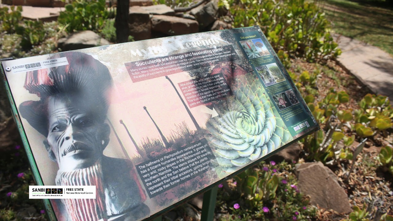 Visit SANBI's Free State National Botanical Garden in Bloemfontein