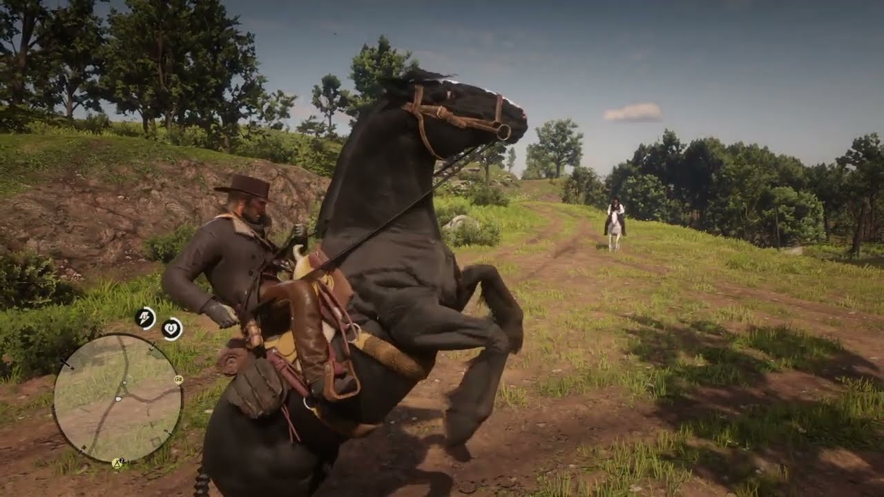 Red Dead Redemption 2 iiiirruuuullll matando geral