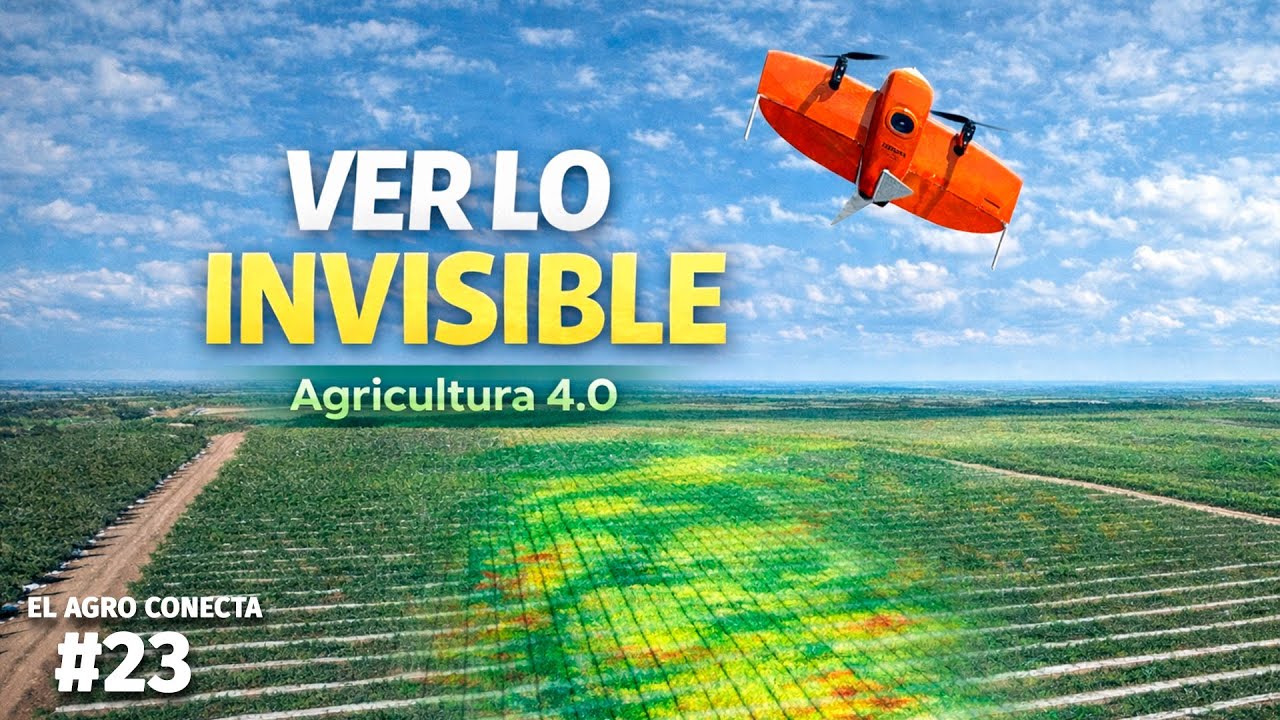 Así se detecta la salud del cultivo desde el aire | Drones y Agricultura 4.0