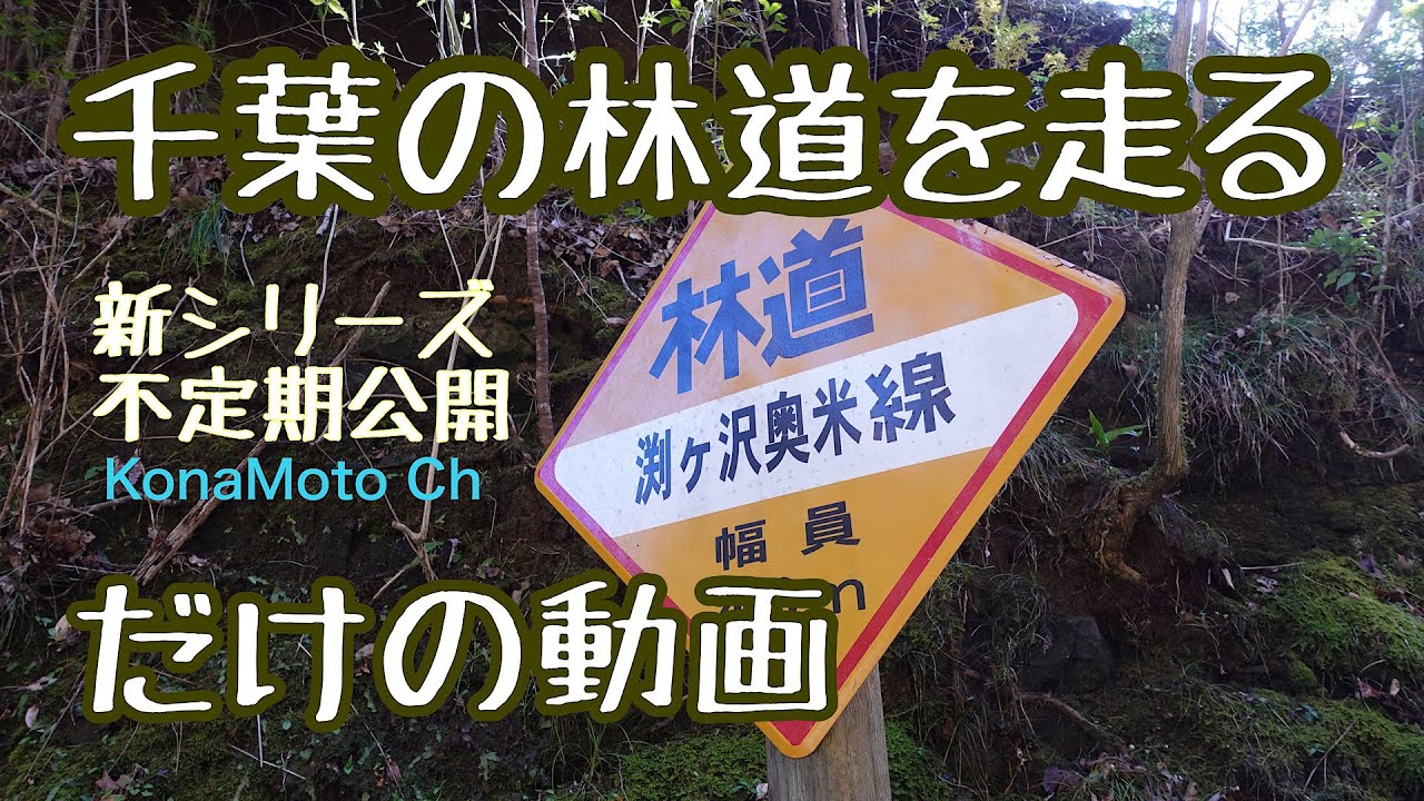 【千葉の林道を走る】淵ヶ沢奥米線