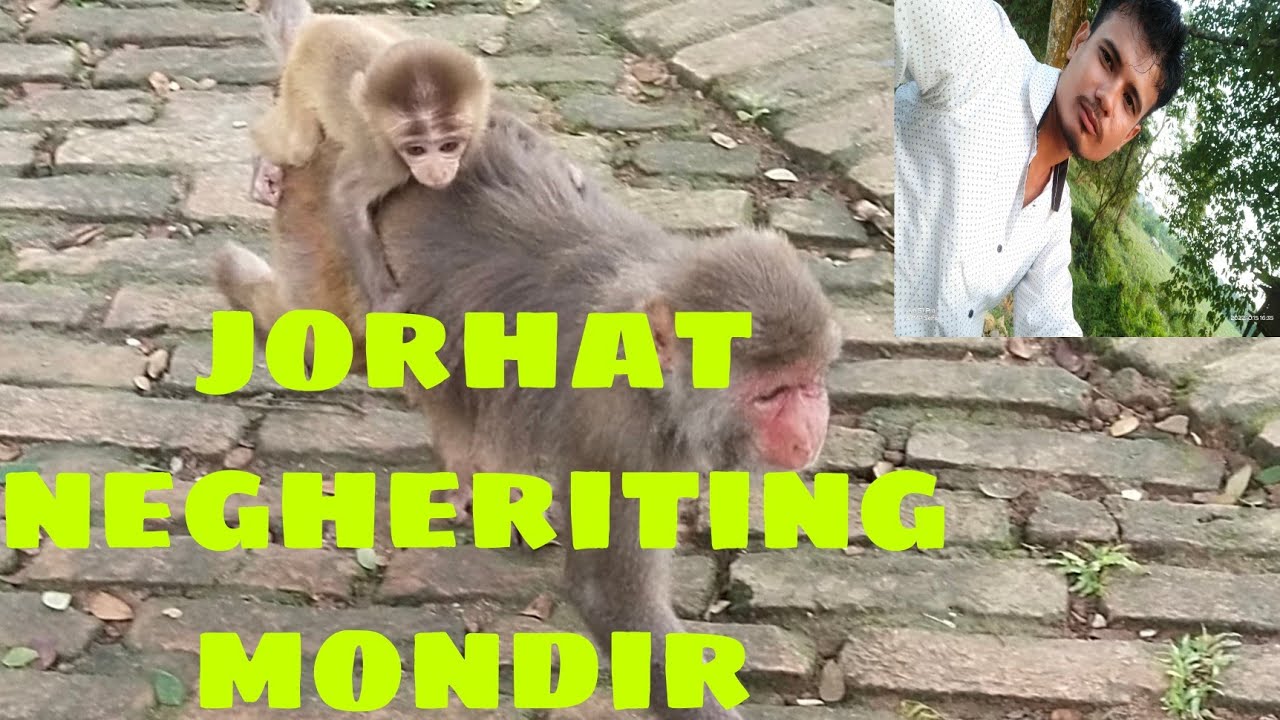 jorhat negheriting mondir// negheriting Shiva mandir // Assamese boy creation...