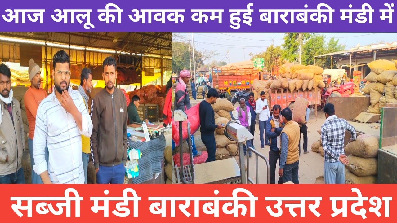 February 26, 2026 Barabanki 🥔 आज आलू की आवक कम हुई बाराबंकी मंडी में 🥔 aalu ka bhav 🥔 potato rate 