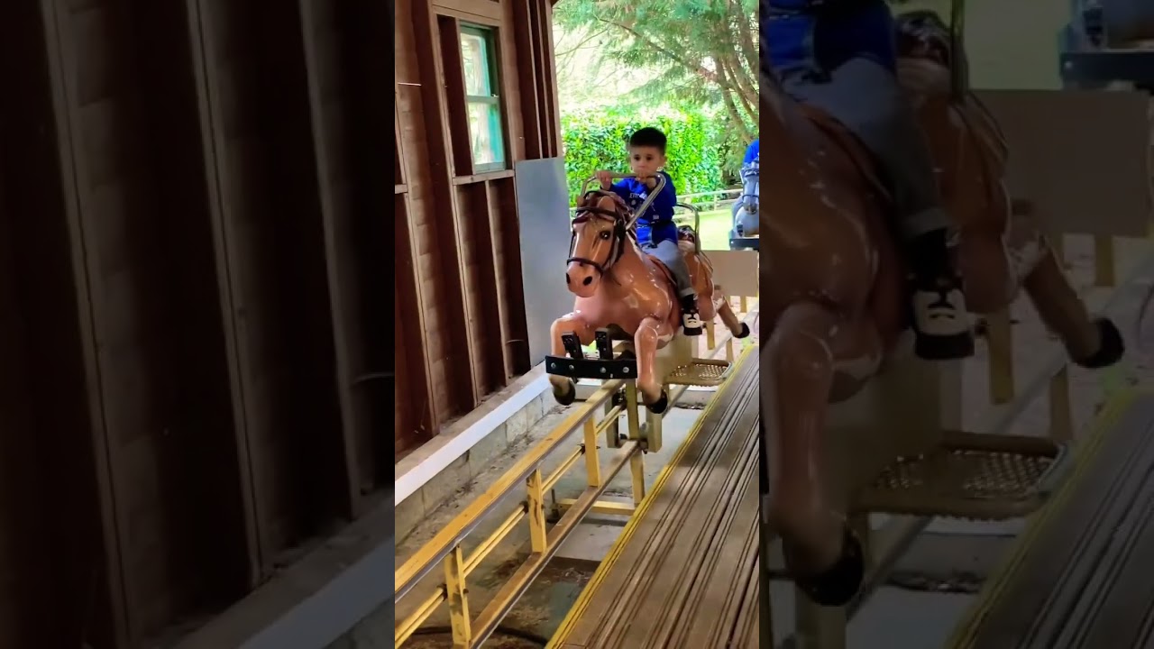 Horse ride 🤩 #shorts #viralshorts #ytshorts #fyp #themepark #amusementpark