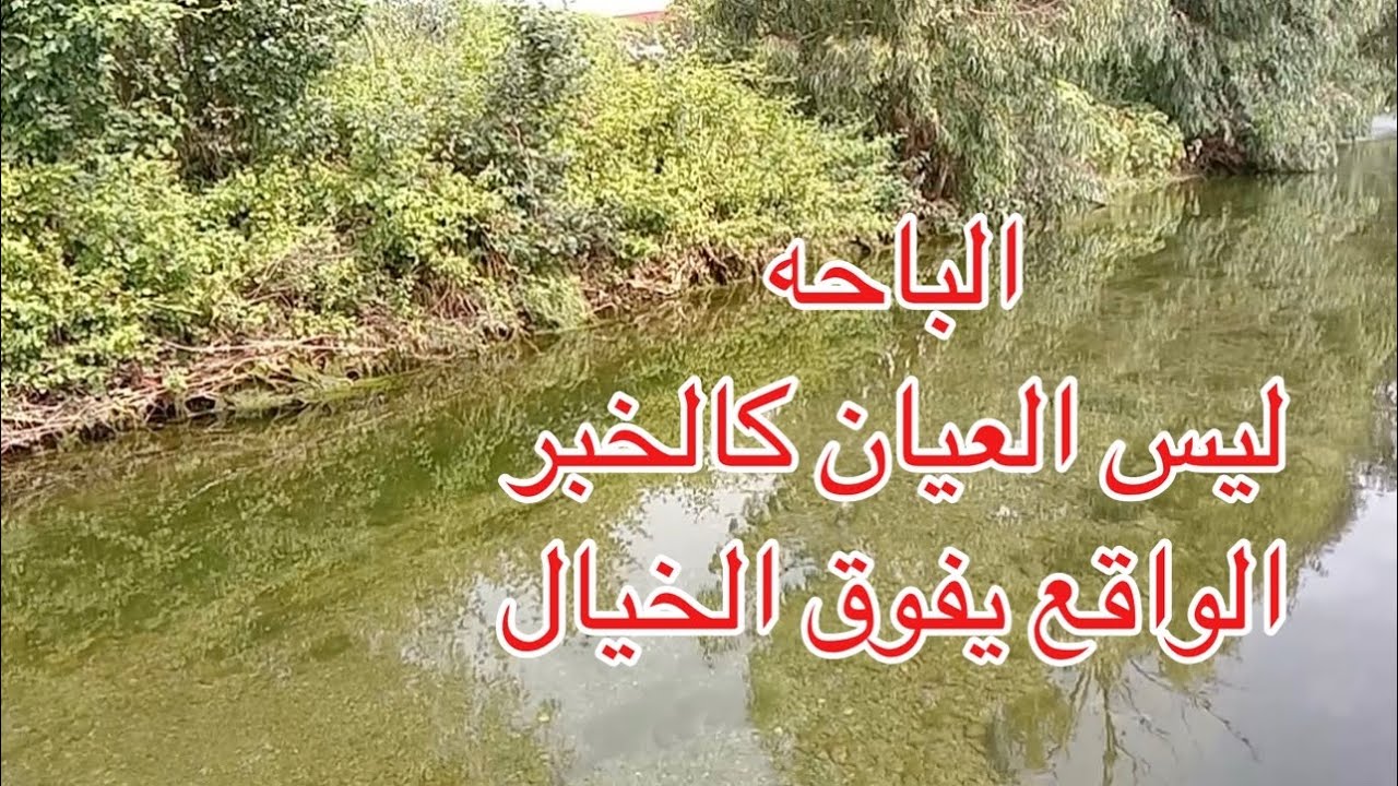 من جمال الفيديو ماعرفت اسميه