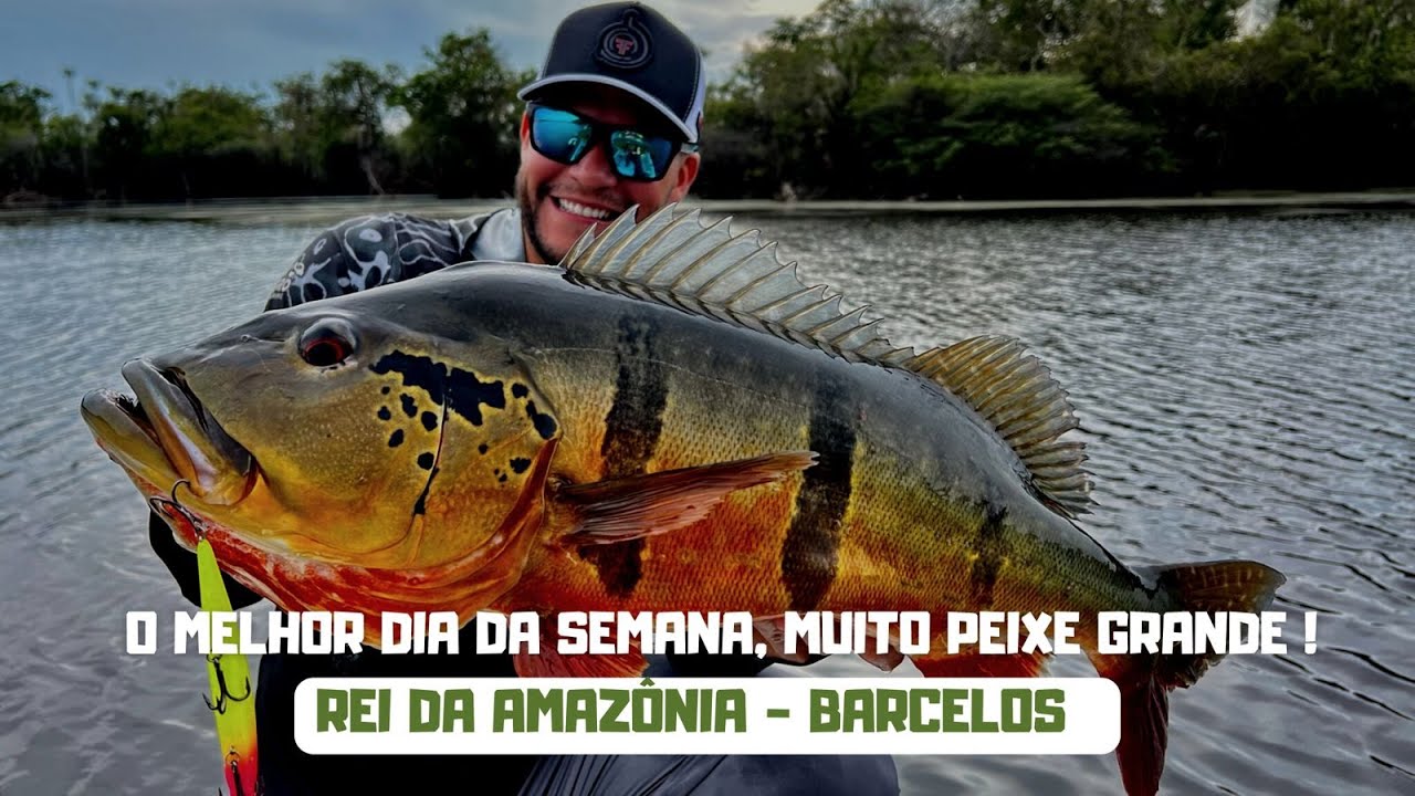 A TEMPORADA DE MILHÕES, UM DIA PRA FICAR NA MEMÓRIA | POUSADA REI DA AMAZÔNIA | EP. 3