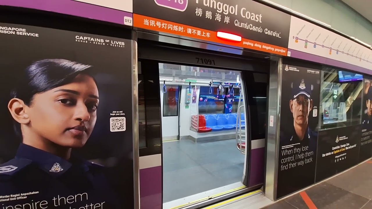 SBS Transit C851E (NEL) [7091/7092] At Punggol Coast [Platform B]