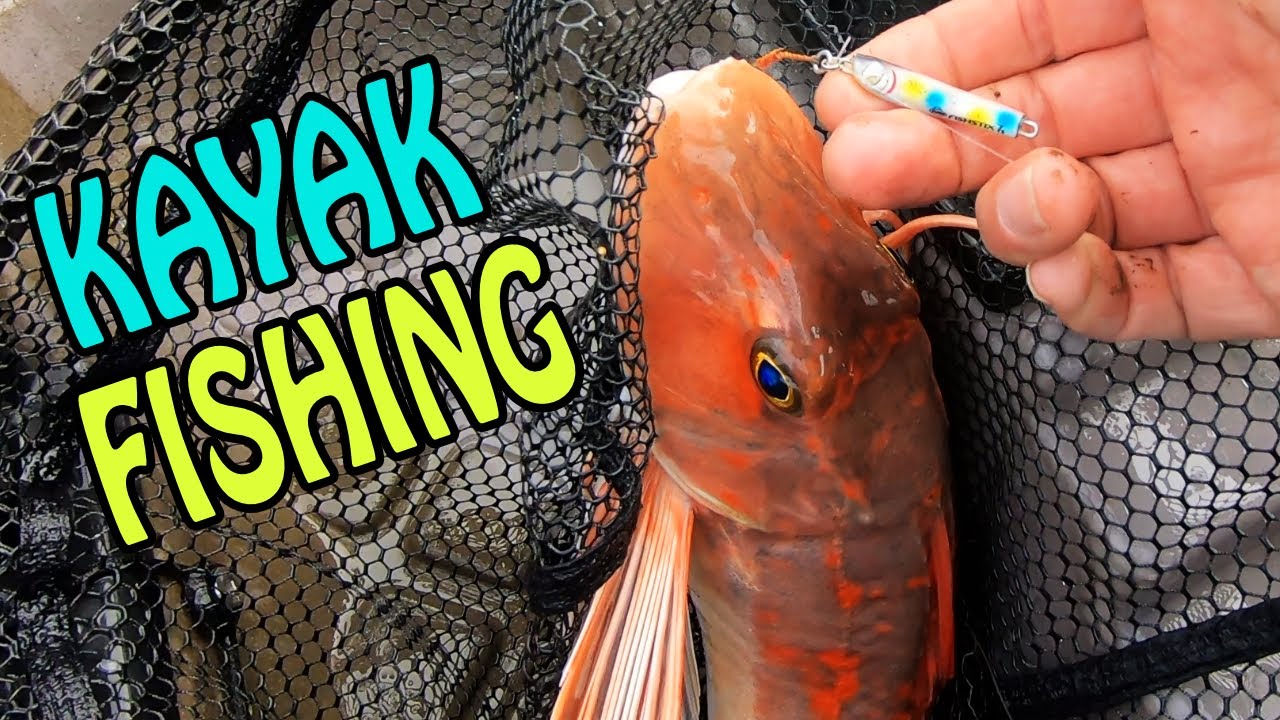 KAYAK FISHING: the mighty KAIPARA Harbour, NZ