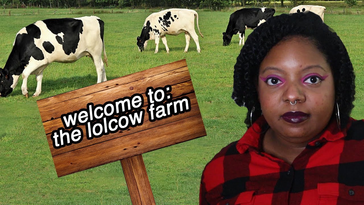 lolcow culture is bad, actually