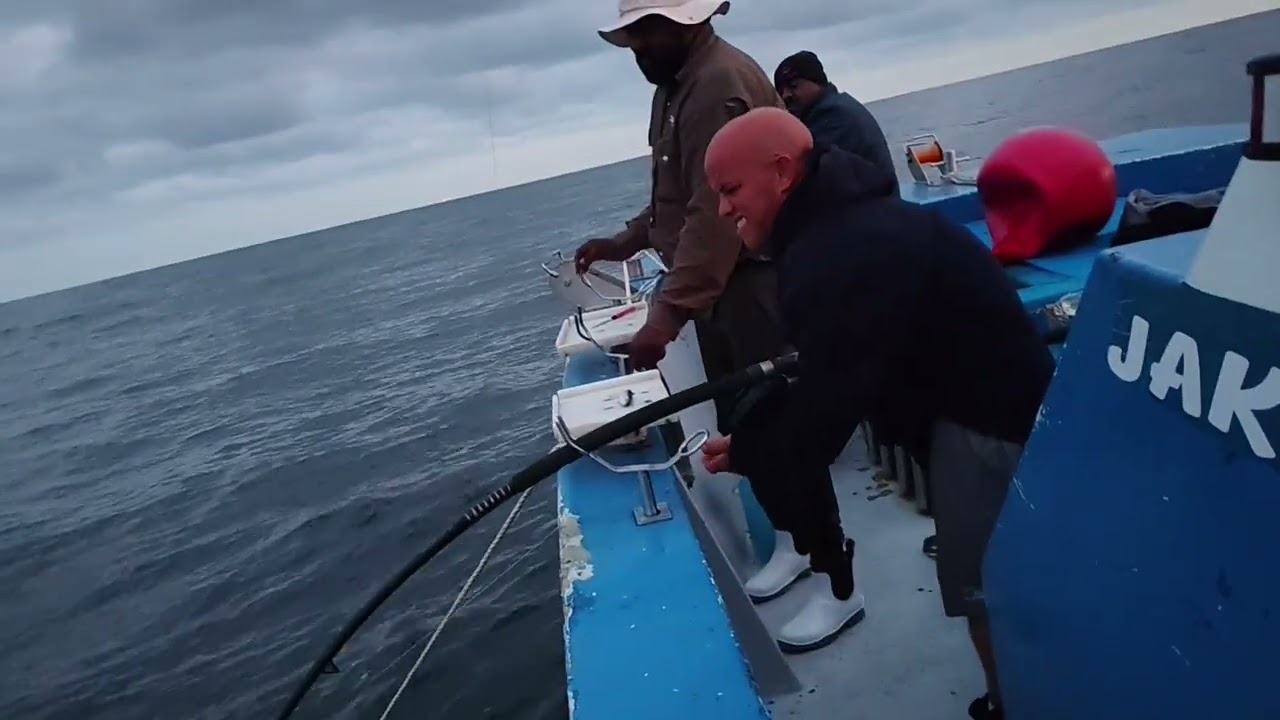 wow What a amazing catch.Please follow we need 2000 followers to be moniterized.Please follow