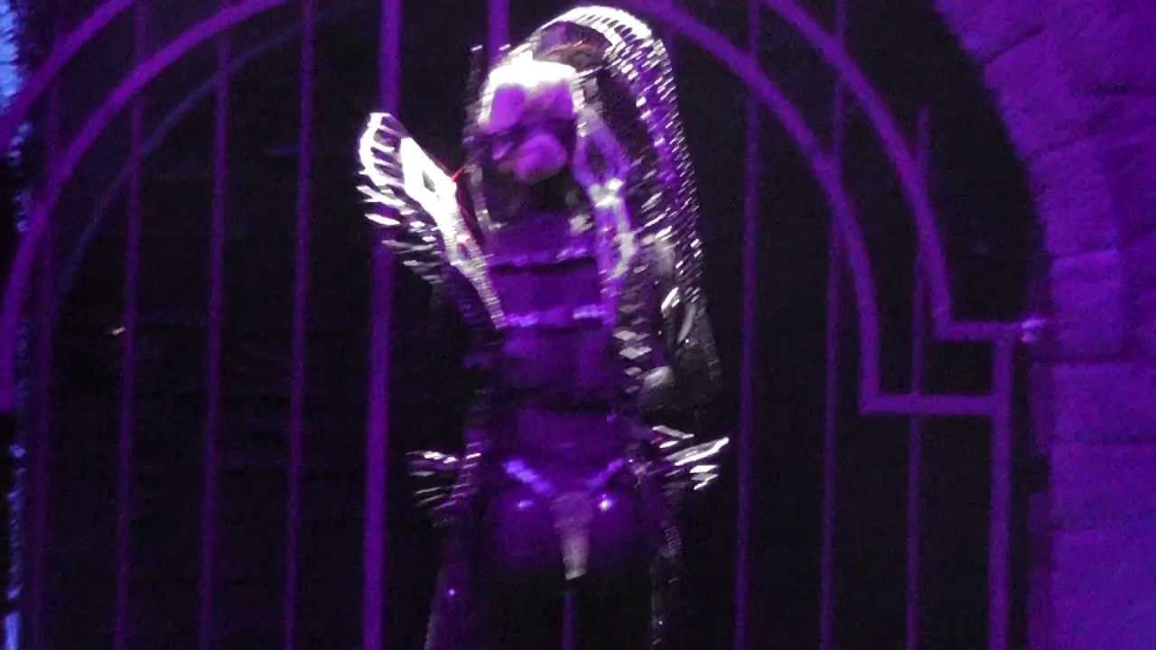 Lady Gaga - (interlude) -  Government Hooker - Live in St.Petersburg, Russia (09.12.12) HD