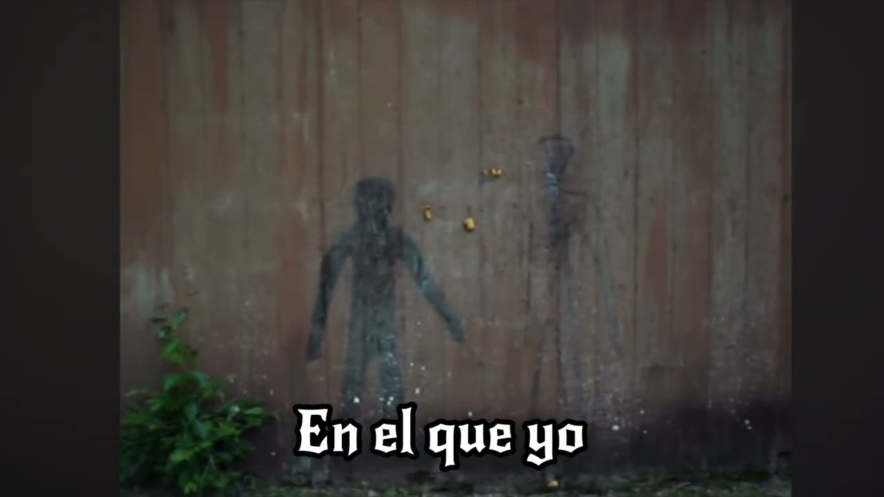 Sad King - Cambiar (Video Lyrics) 