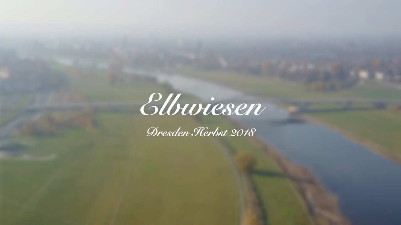 Elbwiesen 2018 [4K]