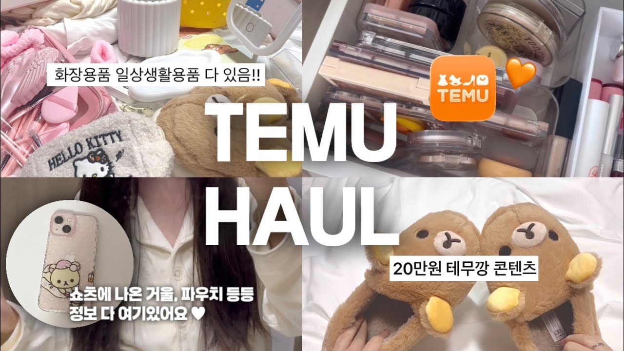 테무깡 TEMU HAUL 🧡