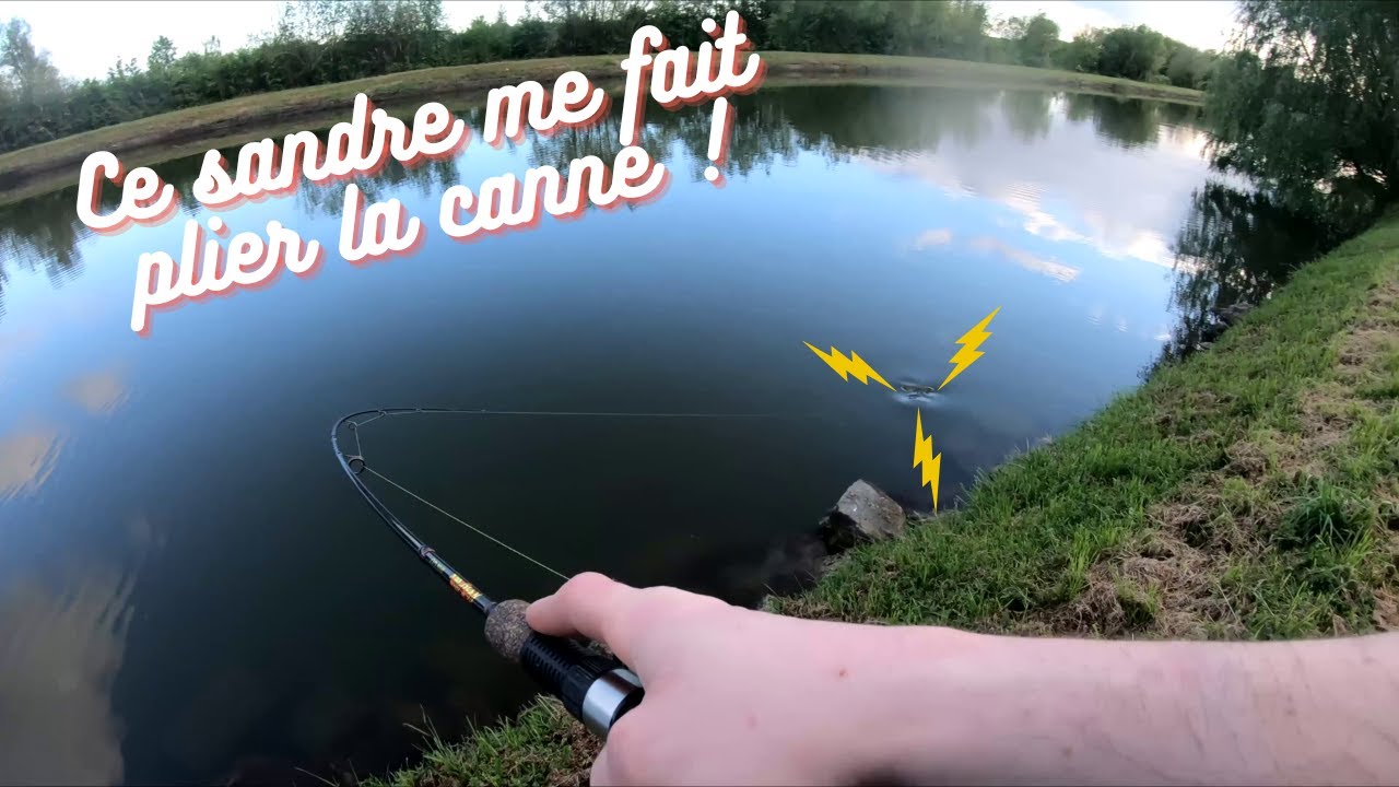Pêche du sandre aux leurres Canal du Nord (59)  #2