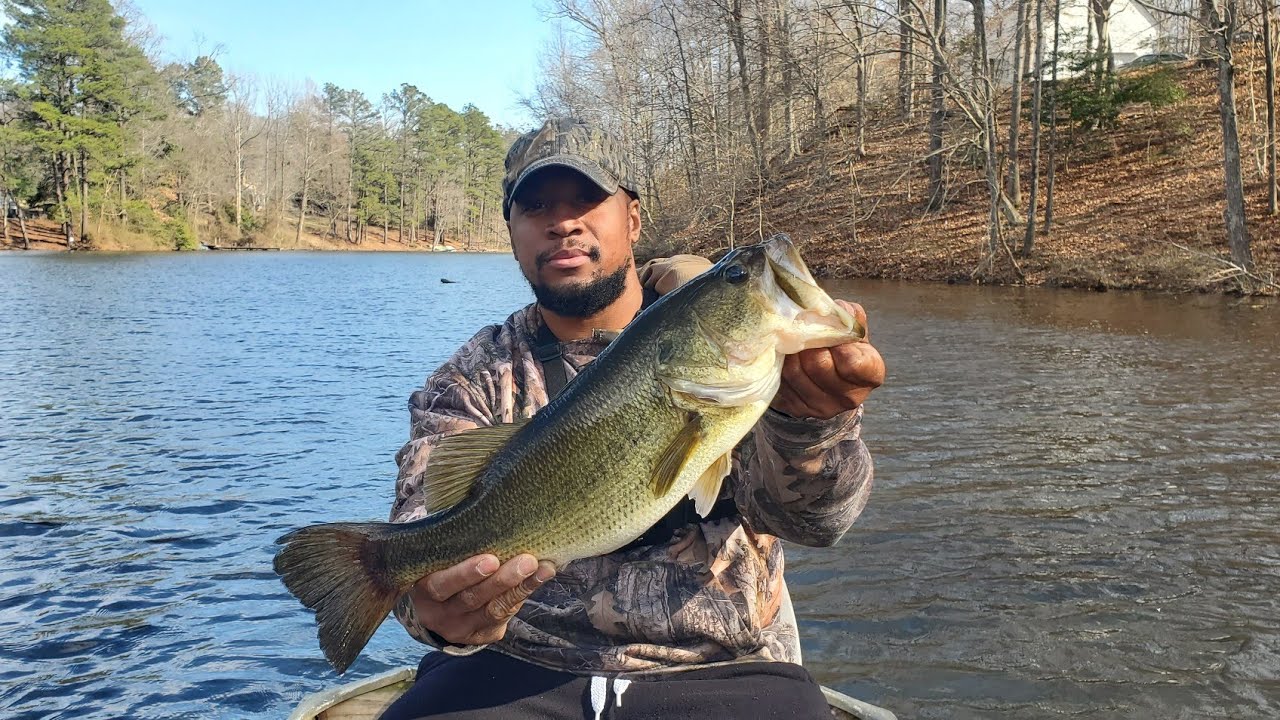 Jig vs Jack Hammer vs Red Eye Shad - The best early Spring Bass lure!!!