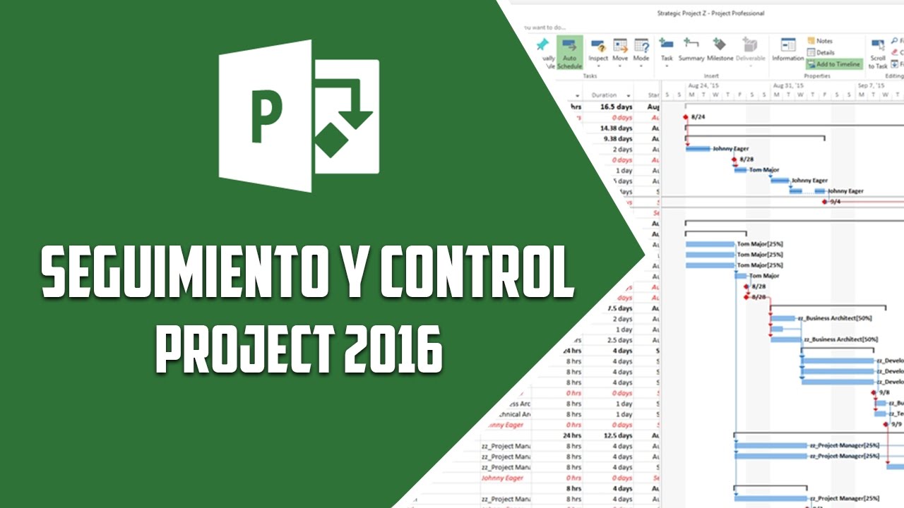 Project 2016 – Seguimiento y control - Video 18
