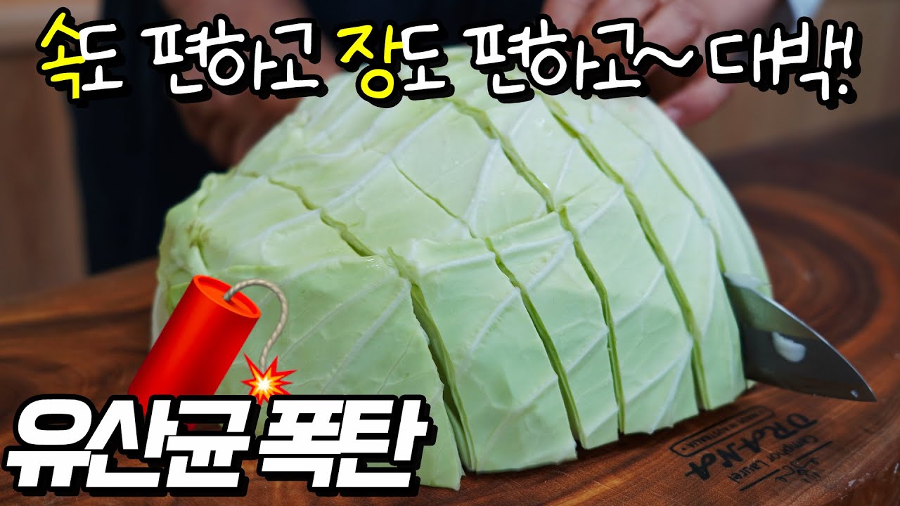 양배추피클을 먹은 딸이 스스로 양배추를 사옵니다.  더 이상 변비약을 찾지 않는 비결~