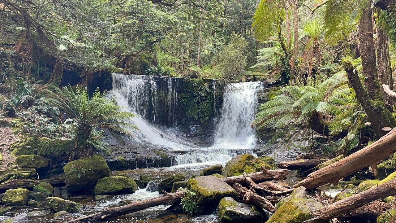 Horseshoe Falls: A Virtual Walk (Slow TV)