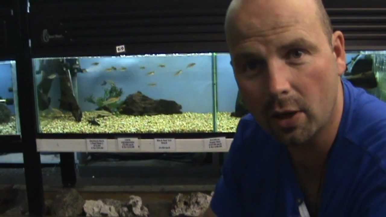 Aquarium Advice - Gravel or Sand? by Pondguru