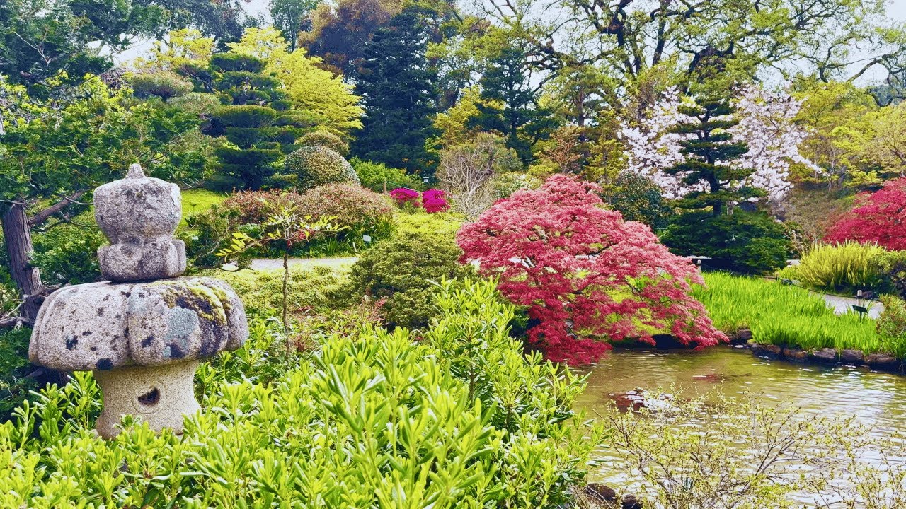 This Japanese Garden Feels Like Kyoto… But It’s in California