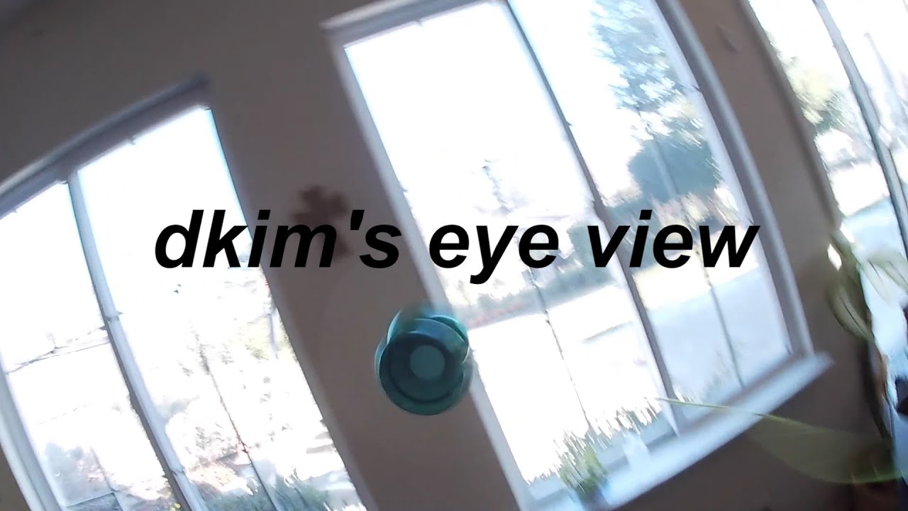 Dkim's Eye View