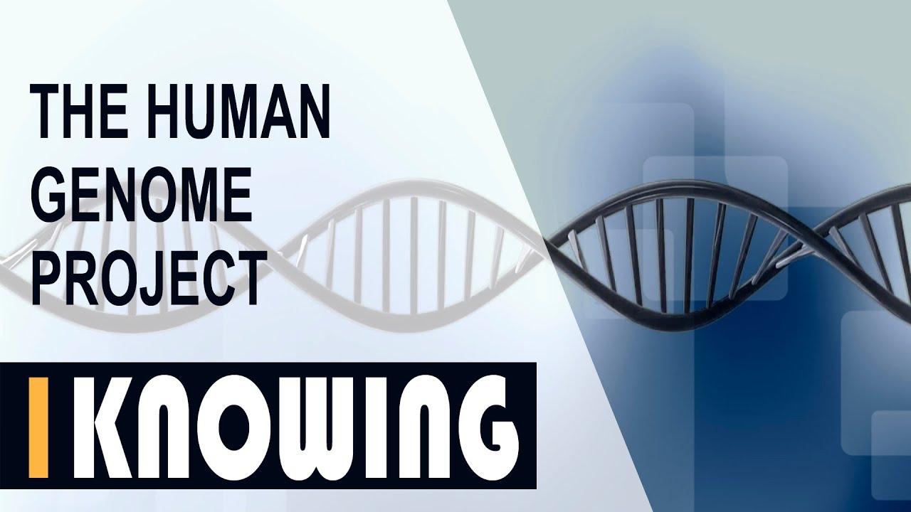 [IK English Room] The human genome project