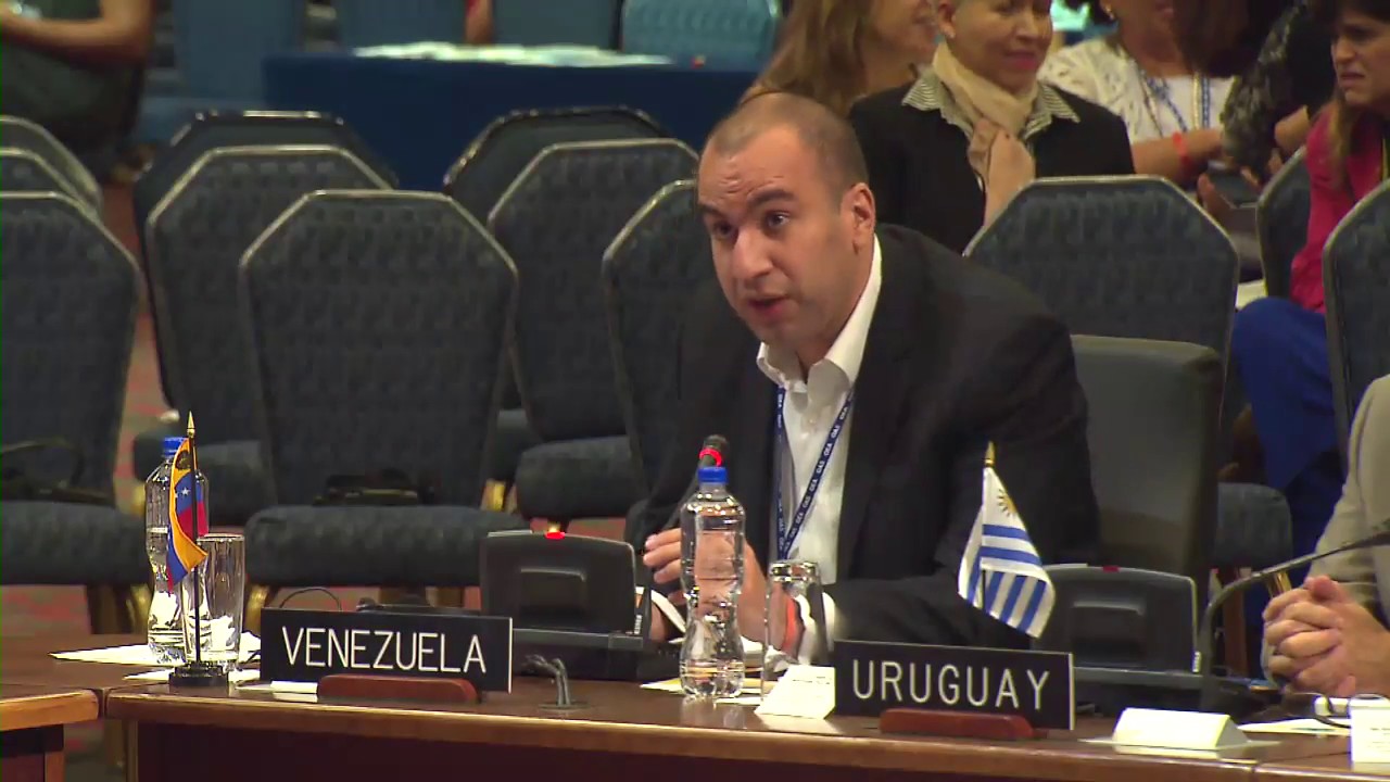 Intervenci&oacute;n de Larry Devoe en 2017 Asamblea General. Parte II