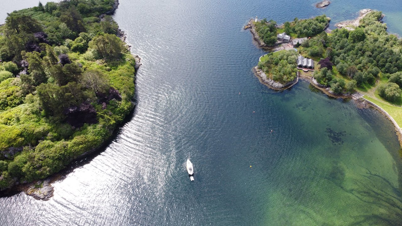 When you can’t make up your mind 🤷‍♀️ - Sailing Ragdoll [Ep17]