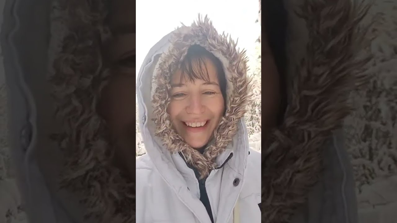 Дневник одного дня в прямом эфире!