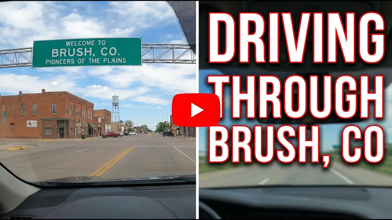 Driving Through Brush, Colorado