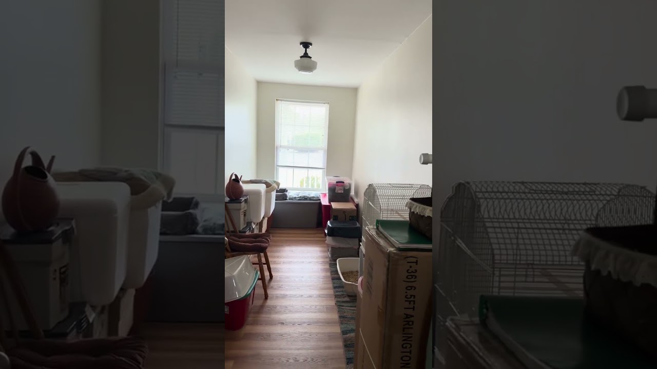 Stacy-Stoll-Real-Estate-29575-1906 Shell Ct, Surfside Beach, SC 29575