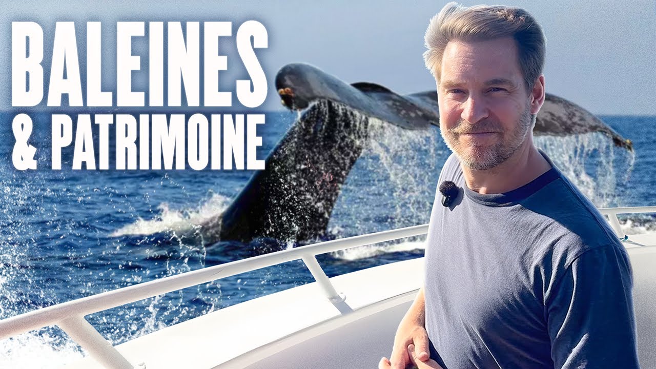 Du commerce des fourrures à l’observation des baleines: la Côte-Nord | L'Histoire nous le dira # 311