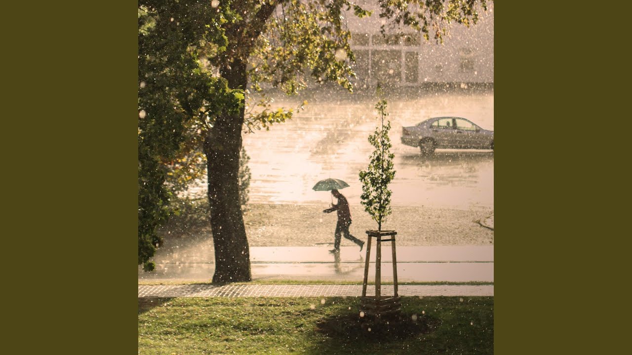 Rainstorm Dreams