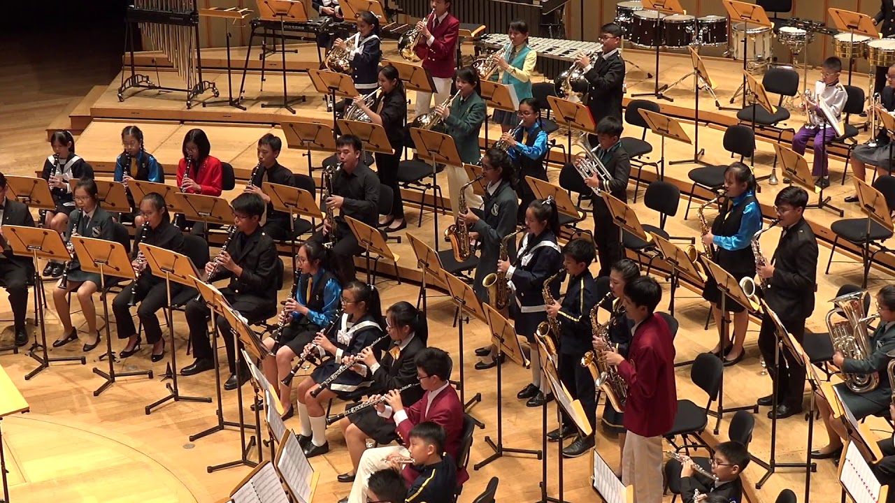 2018 WYBF Junior Band- Latin Gold