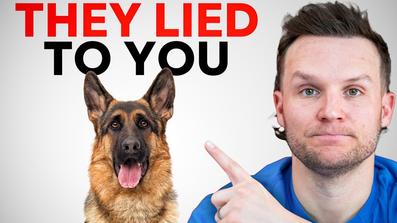 Почему вам НИКОГДА не следует заводить немецкую овчарку